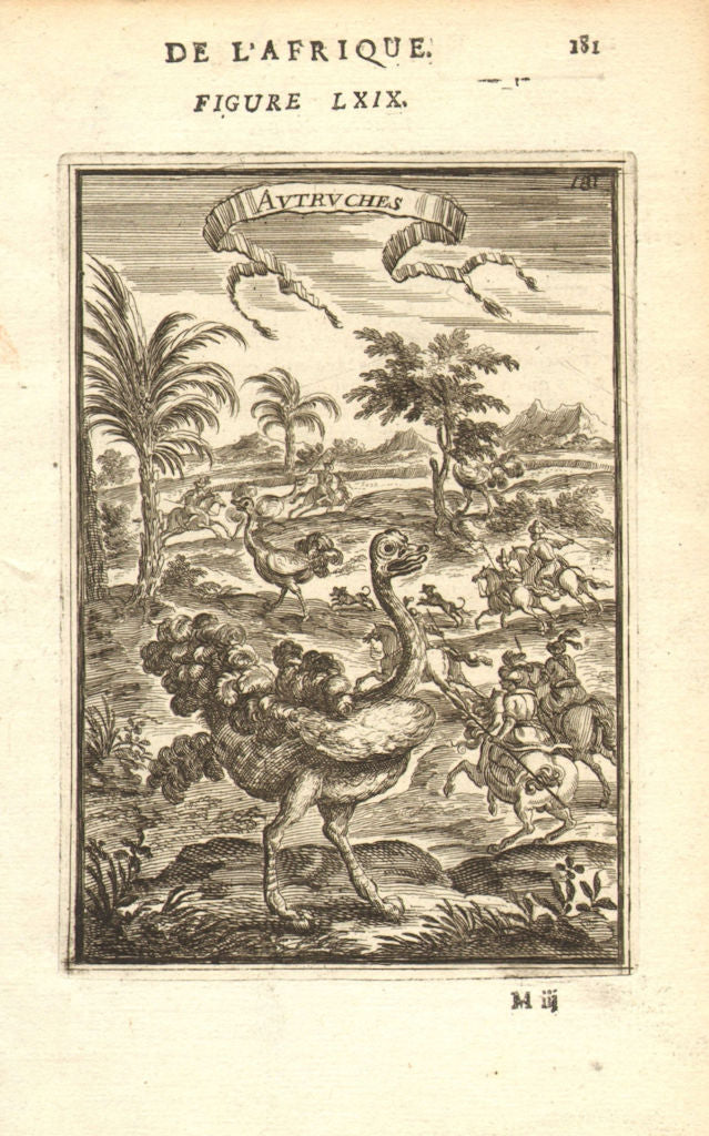 OSTRICHES. Hunting ostriches on horseback. 'Autriches'. MALLET 1683 old print